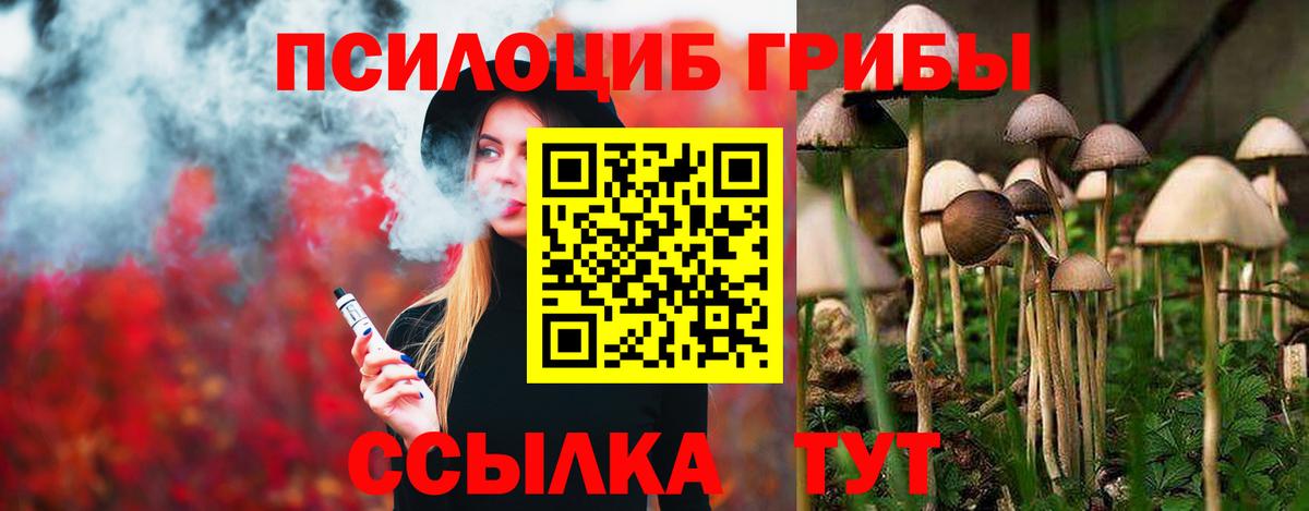 Саратов  Галлюциногенные грибы прущие грибы  Вход с VPN 